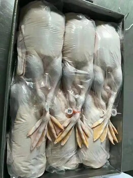 家禽腳環 屠宰企業的宣傳利器及其根本意義