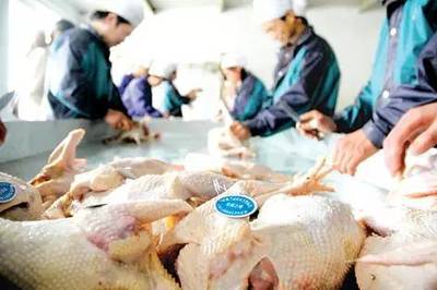 江蘇召開H7N9聯(lián)防聯(lián)控會議，聚焦風(fēng)險評估與家禽屠宰管理