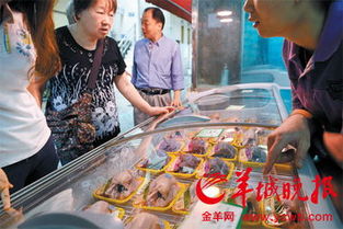 廣州推進(jìn)家禽生鮮上市試點調(diào)整 集中屠宰后檔主可售光雞，探索家禽消費新路徑