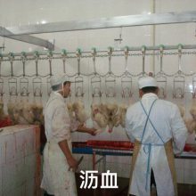 家禽屠宰成套設(shè)備中的核心利器 大鵝脫毛機與雞鴨鵝七輥脫毛機解析