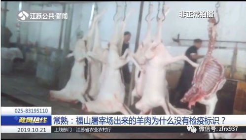 江蘇年底前全面關閉不合格屠宰場，家禽屠宰行業進入規范新時代